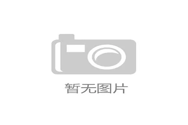 第二十九届中超联赛赛季回顾与参赛队伍分析